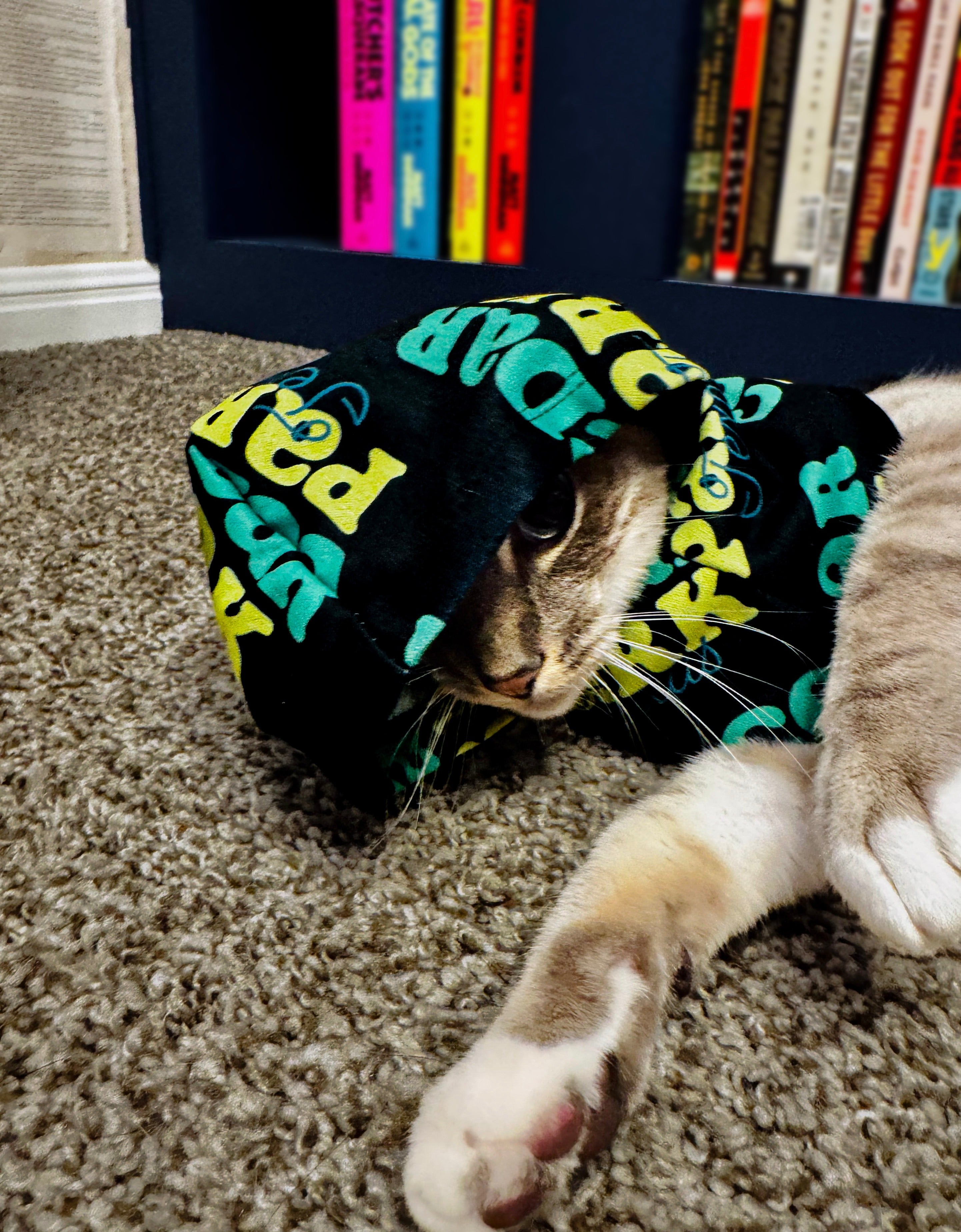 Cedar Park Pet Hoodie | Green Retro Logo Pet Hoodie